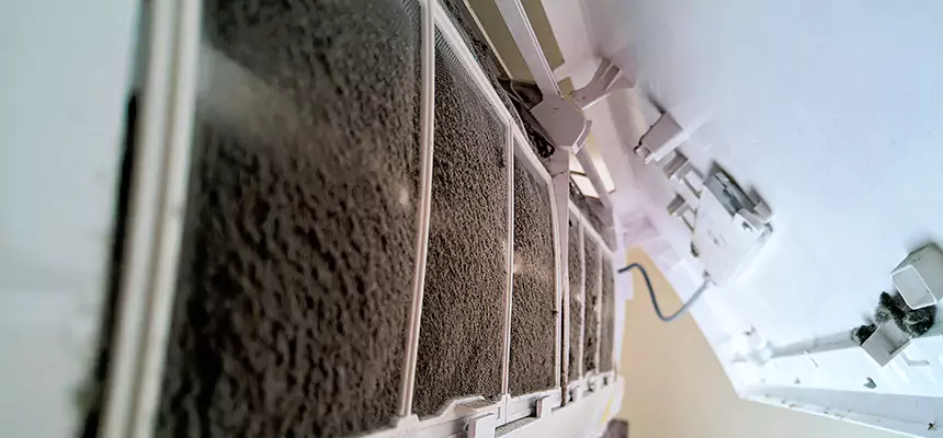 Preventive Air Duct Bacteria Removal in Eagle Pass