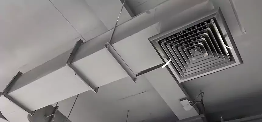 Restorative Allergy Relief Vent Cleaning – Coil, Blower & Housing Detail in Eagle Pass