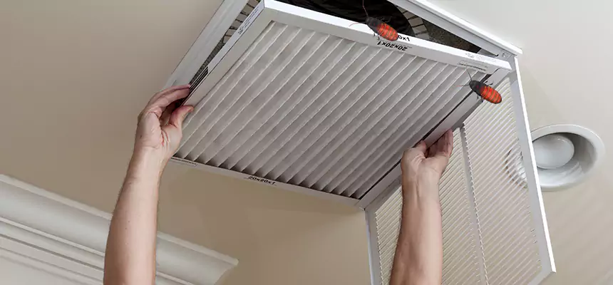 Our Insect Removal from Air Ducts Services in Eagle Pass, TX