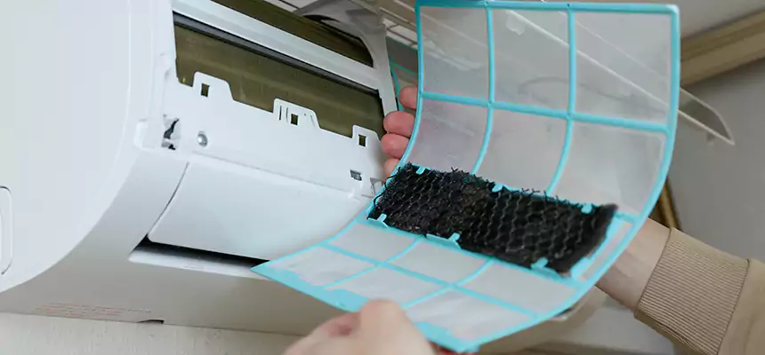 Gentle Ductwork Odor-Control Pet Dander Duct Cleaning in Eagle Pass, TX