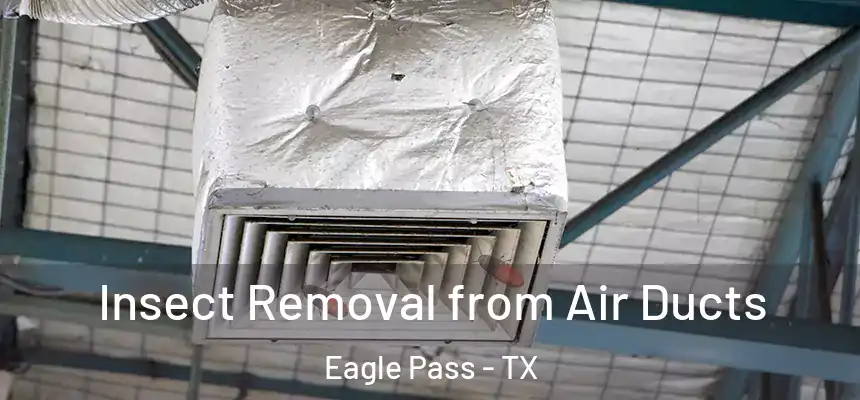  Insect Removal from Air Ducts Eagle Pass - TX