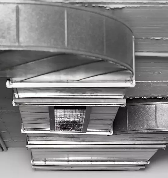 Professional Air Duct Pest Removal in Eagle Pass, TX