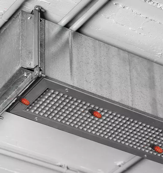 Affordable Insect Removal from Air Ducts in Eagle Pass, TX