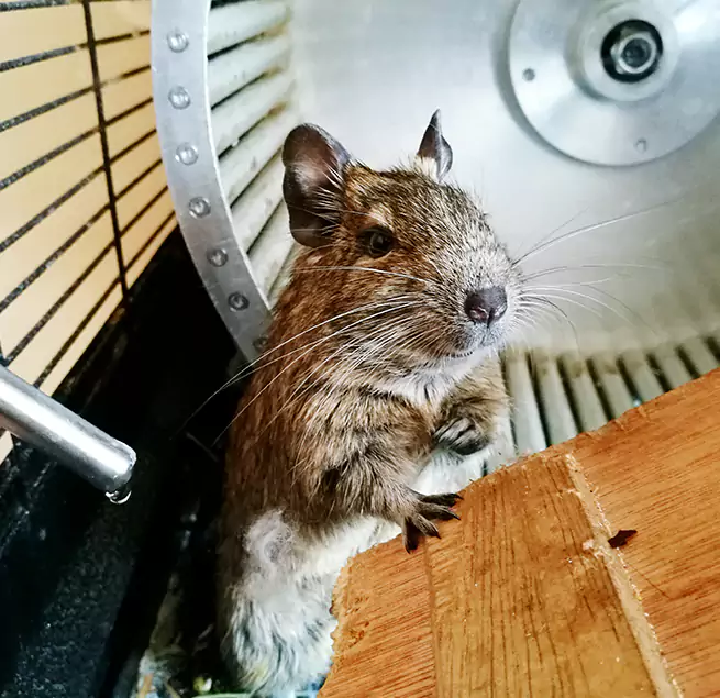 Why Homeowners & Businesses Trust Us Eagle Pass, TX