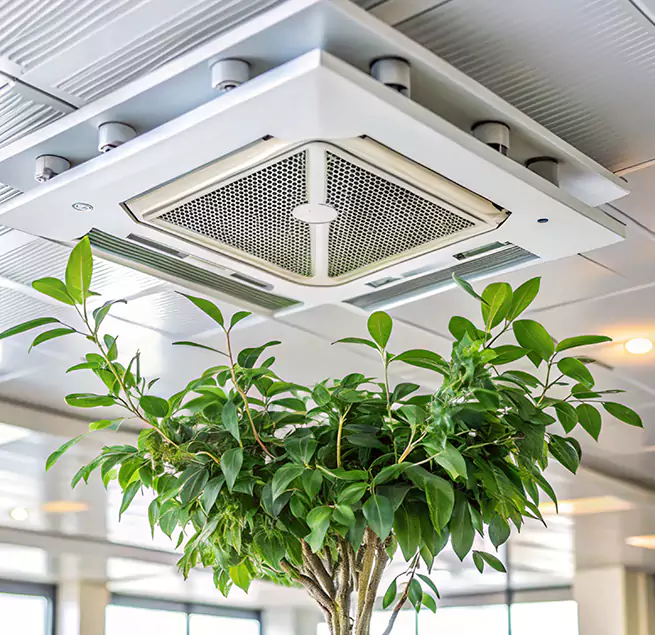 Why Homeowners & Businesses Trust Us in Eagle Pass, TX?