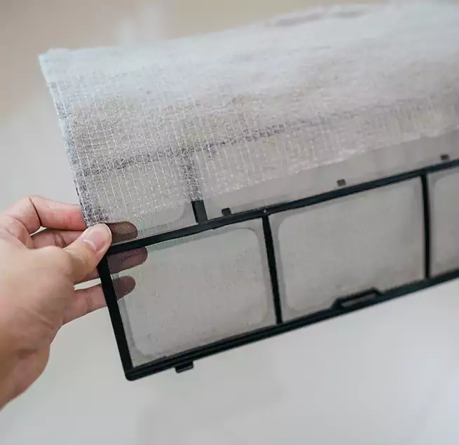 Why Homeowners & Businesses Trust Us in Eagle Pass, TX?