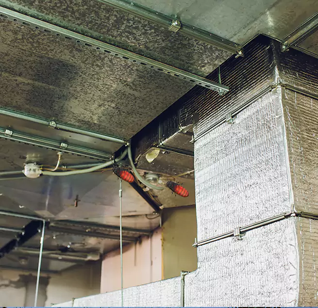 Why Homeowners & Businesses Trust Us Eagle Pass, TX?