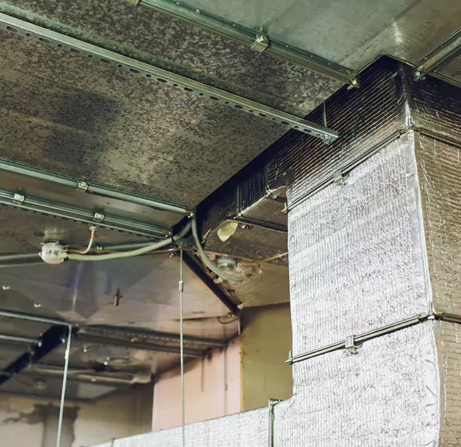 Why Homeowners & Businesses Trust Us in Eagle Pass, TX?